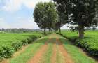 Land in Kiambu Town - 8