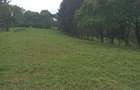 0.5 ac Residential Land in Redhill - 1