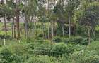 Land in Ongata Rongai - 8