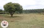 1 ac Residential Land at Thogoto - 2