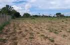 13 ac Land at Majaoni - 4