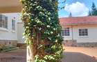 5 Bed House with En Suite at Red Hill Road - 4