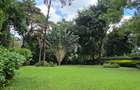4 Bed House with En Suite at Runda Road - 19