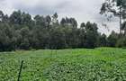 Residential Land at Kabuku Near St Paul University - 6