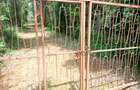 1 ac Land in Karen - 2