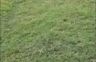 1 ac Land at Babito Shopping Centre - 2