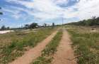 6 ac Residential Land at Jacaranda Watamu - 6