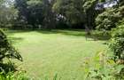 5 Bed Townhouse in Karen - 14
