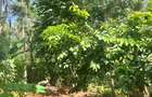 2 ac Land at Karingani - 6