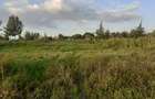 0.5 ac Residential Land in Nanyuki - 1