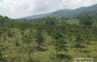 6.5 ac Land at Nandi Hills - 4