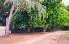 Land in Vipingo - 12