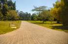 Residential Land at Easy Access To Ngong Road And Dagoreti Road - 12