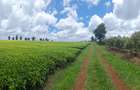 420 ac Land at Kiambu - 6