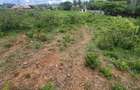 0.2 ha Commercial Land at Merisho Road - 1