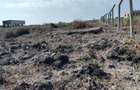 2 ac Residential Land at Jacaranda - 2