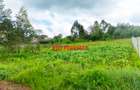 0.5 ha Commercial Land at Ondiri - 1