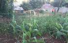 0.0113 ac Residential Land in Ngong - 9