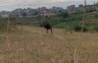 15 ac Land at Thika Road - 1