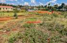 0.08 ha Commercial Land at Limuru - 9