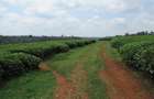 Commercial Land at Kiambu Road - 12