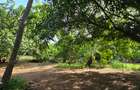 1 ac Land at Kikambala - 8