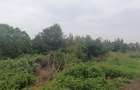 Residential Land at Kamiti Ridge - 7