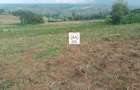 10 ac Land at Enabelbel - 3