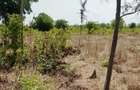 Land at Vipingo - 12