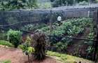 5 Bed Villa with En Suite at Thindigua Area - 11