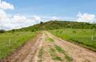 0.0410 ha Residential Land in Athi River - 12