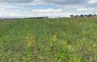 Commercial Land at Kitengera - 7