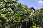 Serviced 1 Bed Apartment with Backup Generator in Nyari - 1