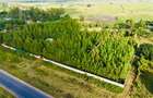 Land in Diani - 4