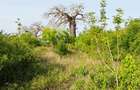 Land in Diani - 16