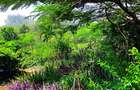 4 Bed House with En Suite at Kuruwitu Beach - 6