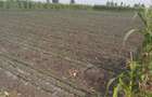Land at Kisaju - 6