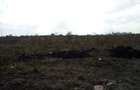 0.25 ac Land at Katani - 5