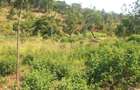 6.3 ac Land in Nyeri - 2