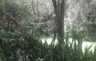 0.75 ac Residential Land at Naivasha Road - 4