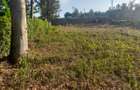 5 Bed House with Garden in Muthaiga - 7
