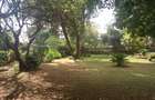 Commercial Land at Link Road - 10
