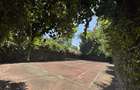 4 Bed House with En Suite in Thigiri - 13