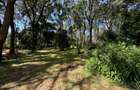 1 ac Land in Karen - 6