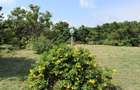 10,890 ft² Land in Nyali Area - 3