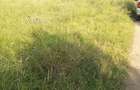 0.113 ac Residential Land in Ongata Rongai - 5