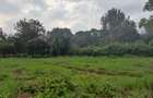 Residential Land at Ndege Road - 12