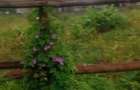 1.25 ac Land in Lavington - 3