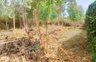500 m² Residential Land at Gikambura Primary - 7