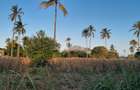 3 ac Land at Mtwapa - 3